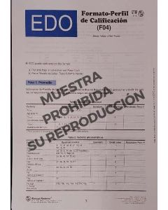 Formato-Perfil Calif F04 PQ 25